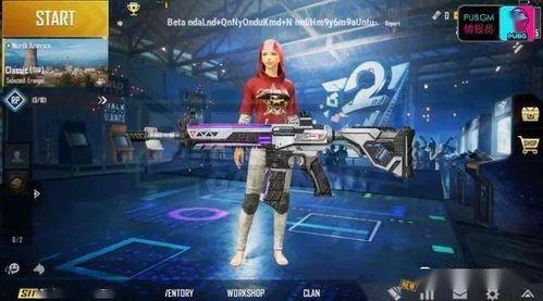 2024和平精英皮肤最新爆料,全新爆料抢先看 第2张 2024和平精英皮肤最新爆料,全新爆料抢先看 第2张